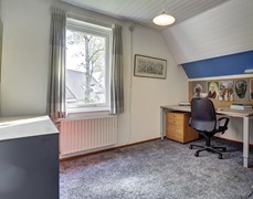46_REUSEL_5541_HE_Schalluine_4 kopie.jpg